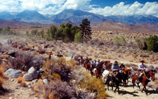 USA-California-Owens Valley Horse Drive